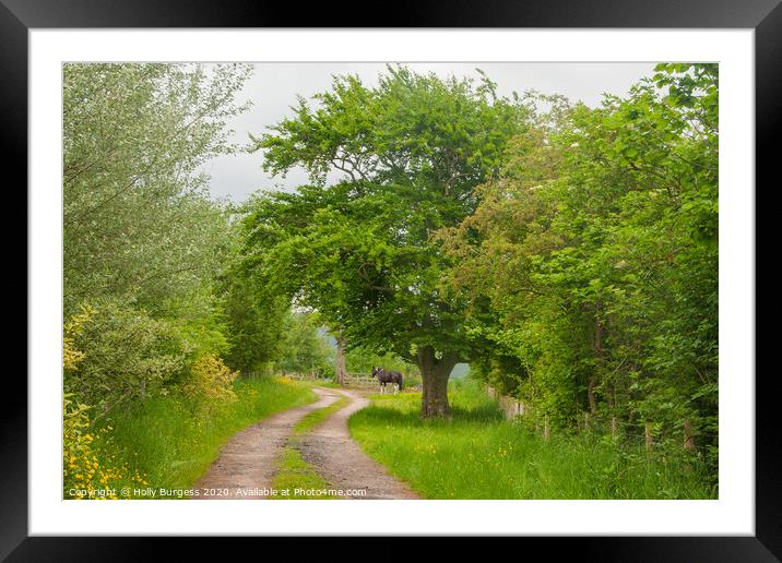 Captivating Cumbrian Countryside: Horse and Trees Framed Mounted Print by Holly Burgess