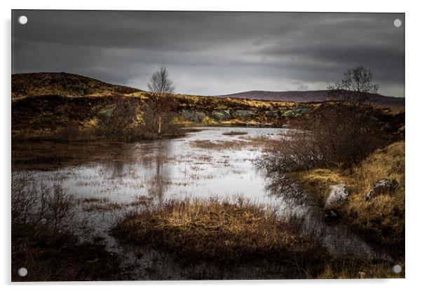 Rannoch Moor,  Glencoe, Scotland UK. Acrylic by chris smith