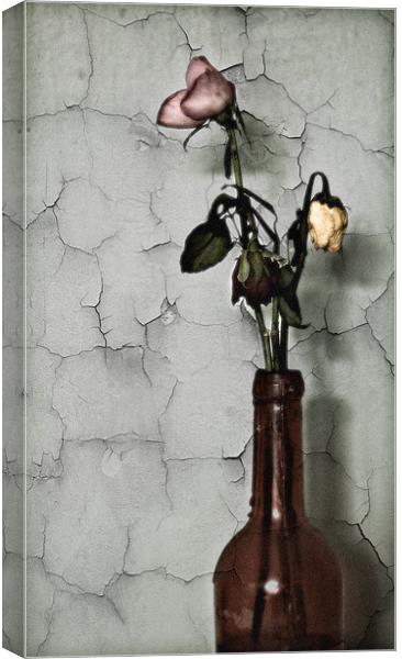 Withered Blooms Canvas Print by Simon Gladwin
