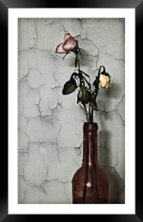 Withered Blooms Framed Mounted Print by Simon Gladwin