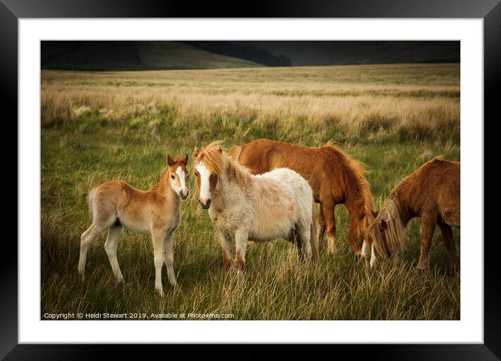 A Family of Ponies Framed Mounted Print by Heidi Stewart