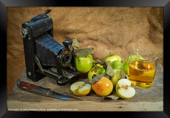 Agfa and the apples  Framed Print by Rob Hawkins