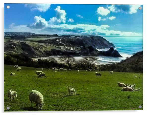 Sheep Above Three Cliffs Bay - Gower Acrylic by Paddy Art