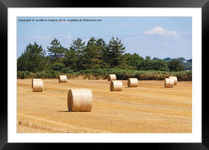 Straw bales in a field Framed Mounted Print by aurélie le moigne