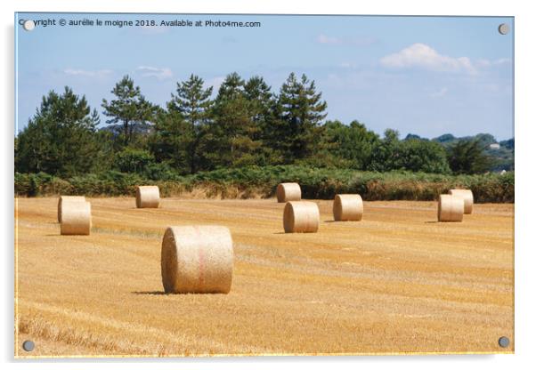Straw bales in a field Acrylic by aurélie le moigne