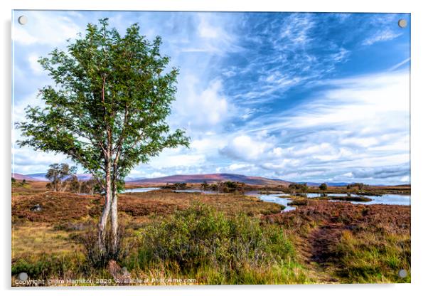 Rannoch Moor, Scotland Acrylic by jim Hamilton