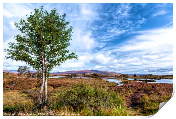 Rannoch Moor, Scotland Print by jim Hamilton