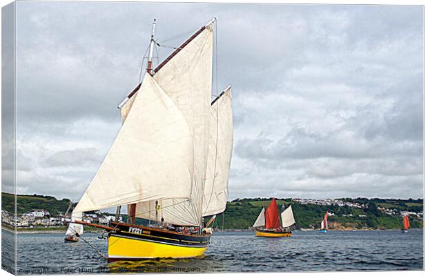 Looe Lugger Sailing Canvas Print by Peter F Hunt