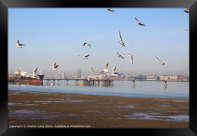 The Urban Angels of Rock Ferry Framed Print by Photography by Sharon Long 