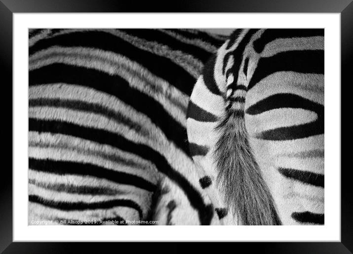 Stripes. Framed Mounted Print by Bill Allsopp