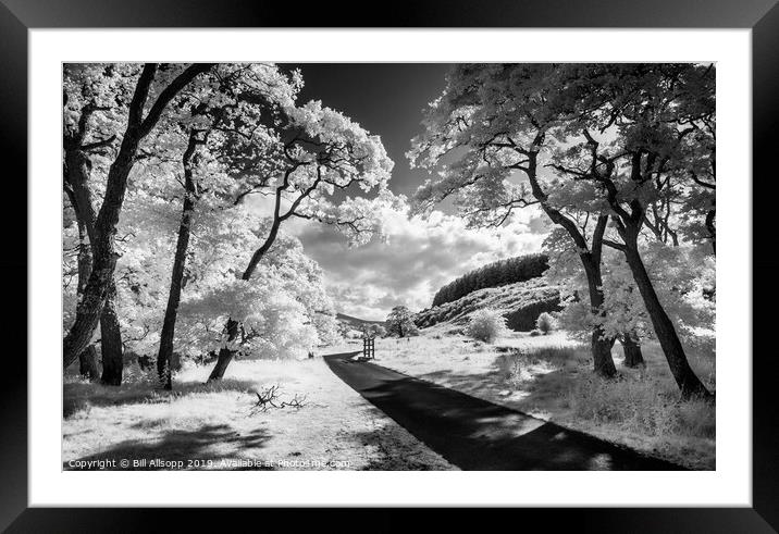 Into the Cheviots. Framed Mounted Print by Bill Allsopp