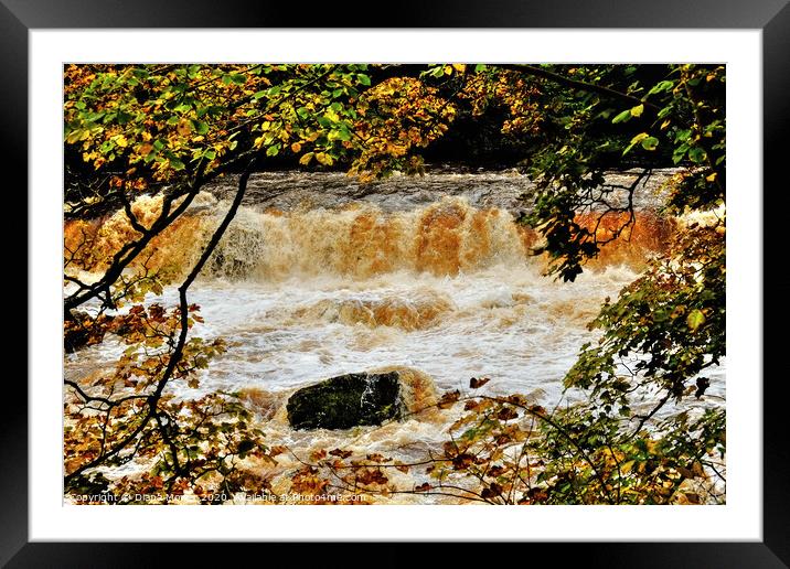 Aysgarth upper Falls floods Framed Mounted Print by Diana Mower