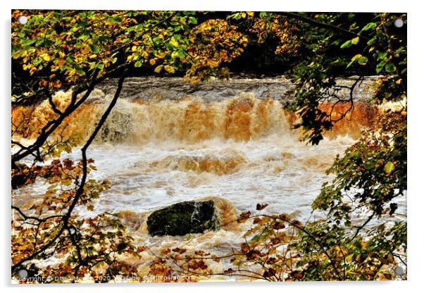 Aysgarth upper Falls floods Acrylic by Diana Mower