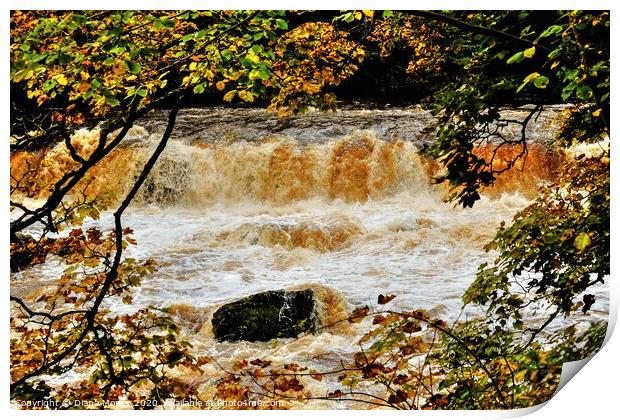 Aysgarth upper Falls floods Print by Diana Mower