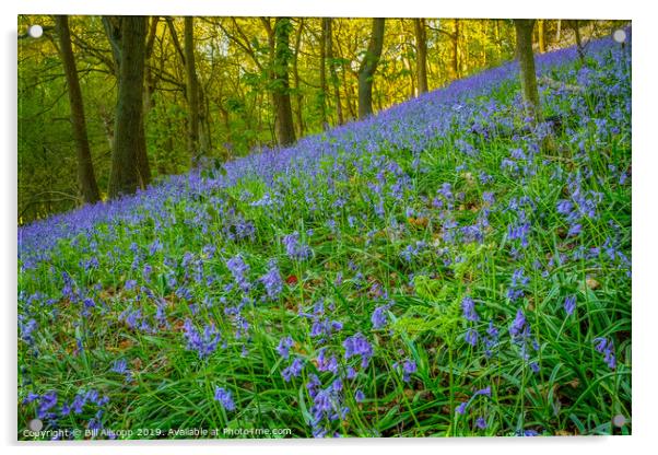 Bluebells in the Outwoods. Acrylic by Bill Allsopp