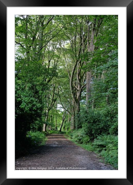 The Path, Tehidy Woods, Cornwall Framed Mounted Print by Rika Hodgson
