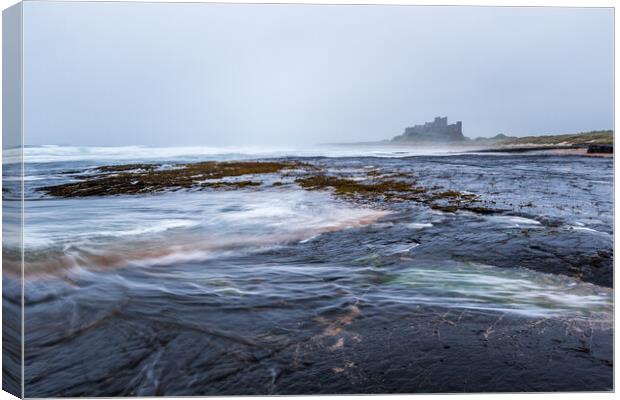 Bamburgh Castle on the Northumberland coast.  Canvas Print by chris smith