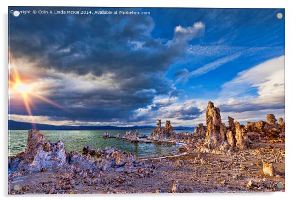 Mono Lake, Calfornia, USA Acrylic by Colin & Linda McKie