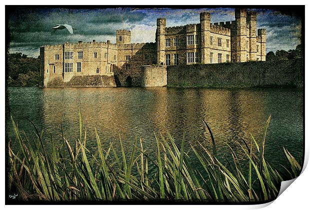 Leeds Castle Across The Moat Print by Chris Lord