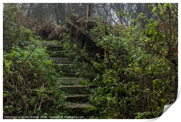 Stepping into the wood  Print by louise stanley