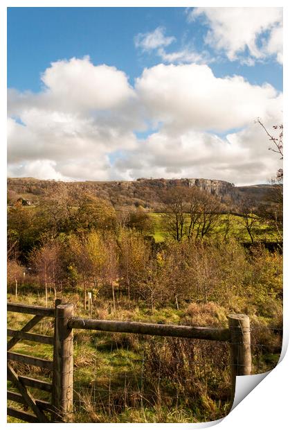 Autumn Landscape : Rock in background Print by Dave Carroll