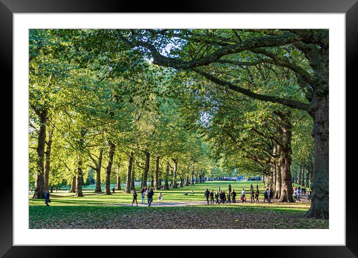 Sunny London Framed Mounted Print by chris smith