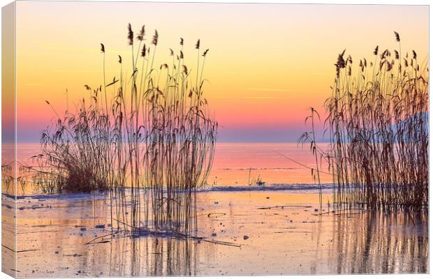 Winter sunset over the lake Balaton of Hungary Canvas Print by Arpad Radoczy