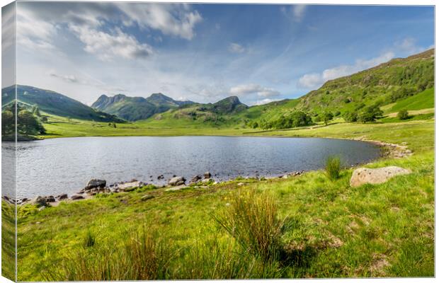 Blea Tarn Canvas Print by chris smith