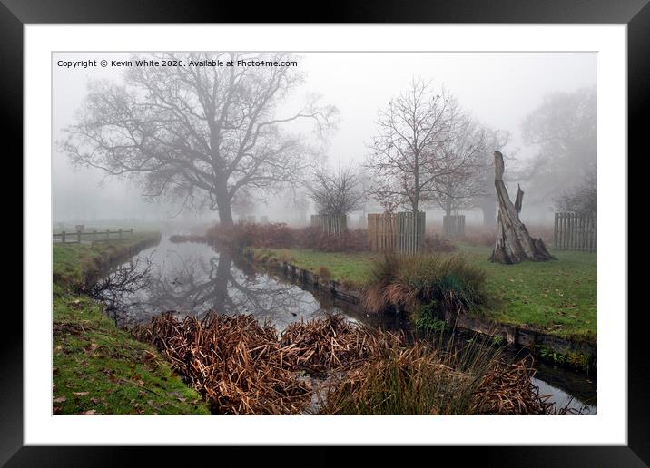 December mist at Bushy Park Framed Mounted Print by Kevin White