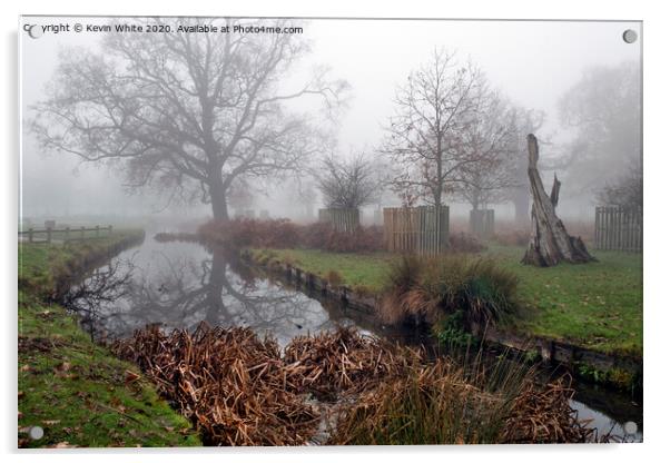 December mist at Bushy Park Acrylic by Kevin White