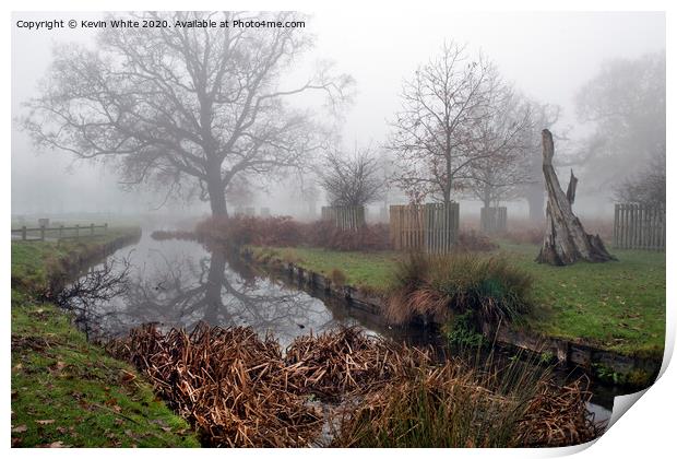 December mist at Bushy Park Print by Kevin White