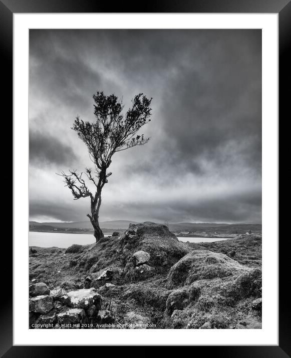 Lone tree on a windswept Isle of Skye Framed Mounted Print by Matt Hill