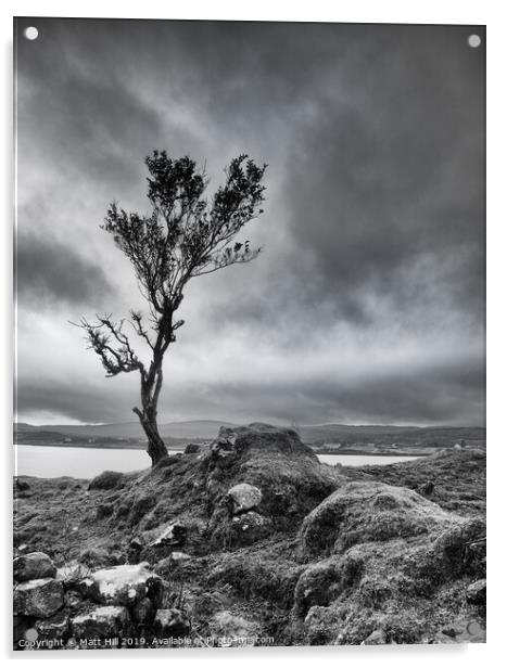 Lone tree on a windswept Isle of Skye Acrylic by Matt Hill