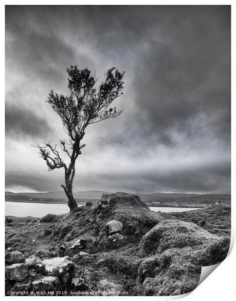Lone tree on a windswept Isle of Skye Print by Matt Hill