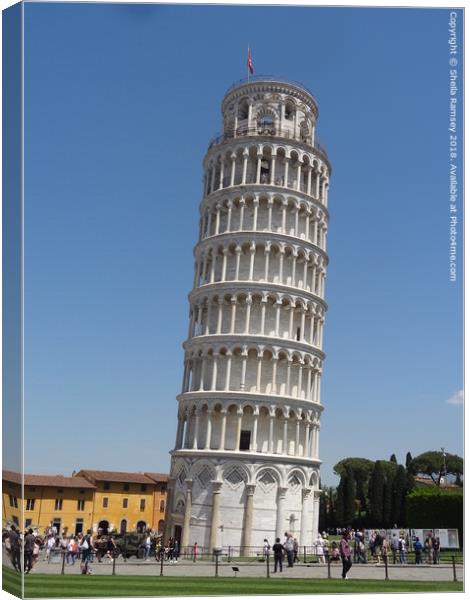The Leaning Tower of  Pisa Canvas Print by Sheila Ramsey