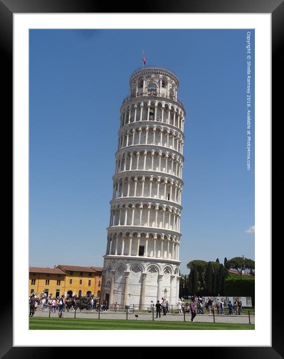The Leaning Tower of  Pisa Framed Mounted Print by Sheila Ramsey