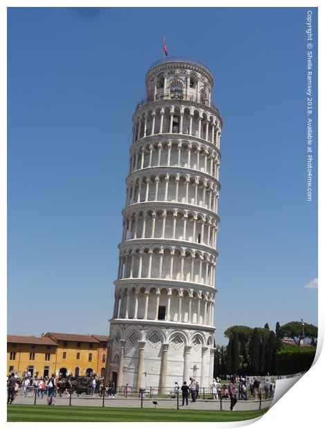The Leaning Tower of  Pisa Print by Sheila Ramsey