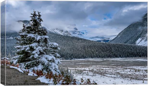 Icefield Parkway, Canadian Rockies Canvas Print by Brenda Belcher