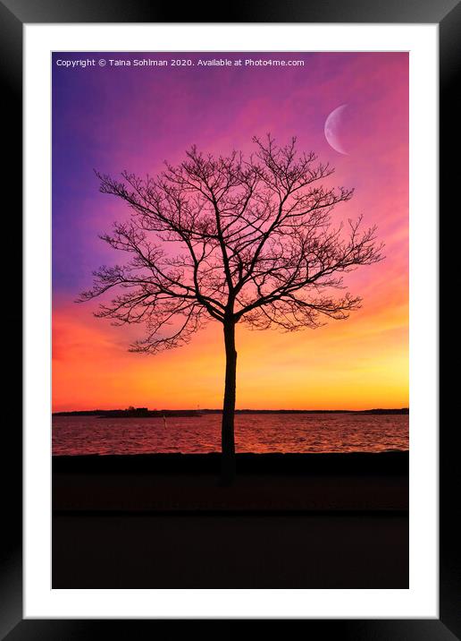 Seaside Tree with Crescent Moon Framed Mounted Print by Taina Sohlman