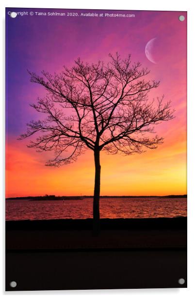 Seaside Tree with Crescent Moon Acrylic by Taina Sohlman