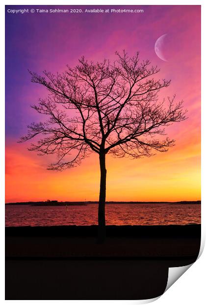 Seaside Tree with Crescent Moon Print by Taina Sohlman