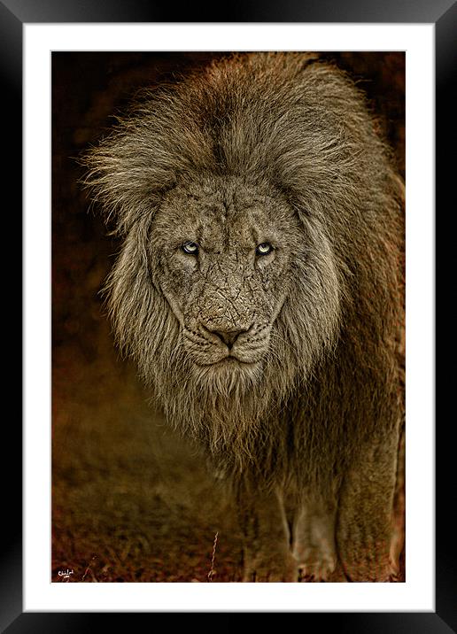 Leave Me Alone!!! Framed Mounted Print by Chris Lord