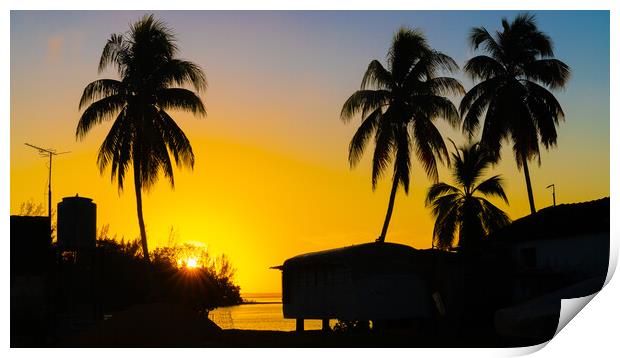 Sunrise At The Bay Of Pigs Print by Chris Lord