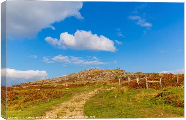 Stowes Hill Bodmin Moor Canvas Print by CHRIS BARNARD