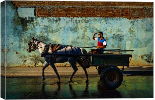 Cuban Horse And Cart In Trinidad De Cuba Canvas Print by Chris Lord