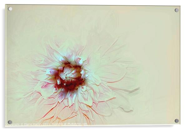 Pastel Flower Acrylic by Elaine Manley