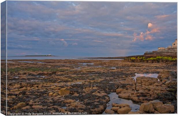 Coquet island looking from Amble by the sea  Canvas Print by Holly Burgess