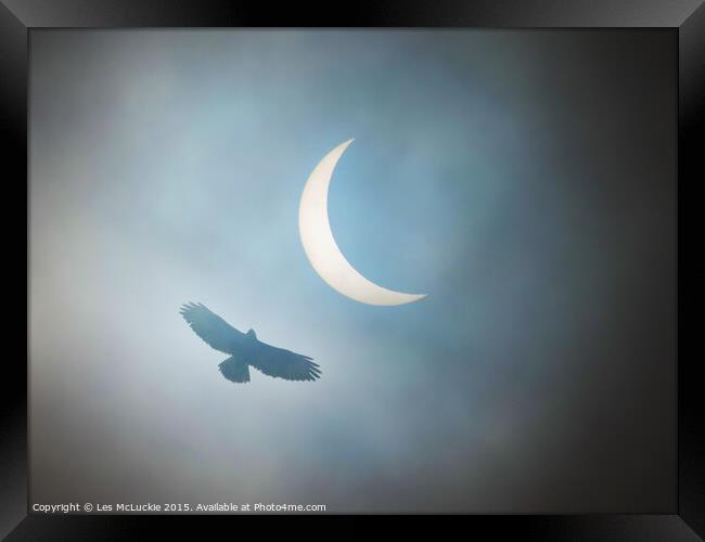Majestic Buzzard Soaring through the Eclipse Framed Print by Les McLuckie