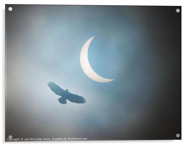 Majestic Buzzard Soaring through the Eclipse Acrylic by Les McLuckie