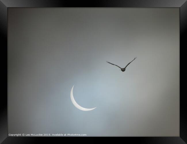 Eclipse takes wing Framed Print by Les McLuckie